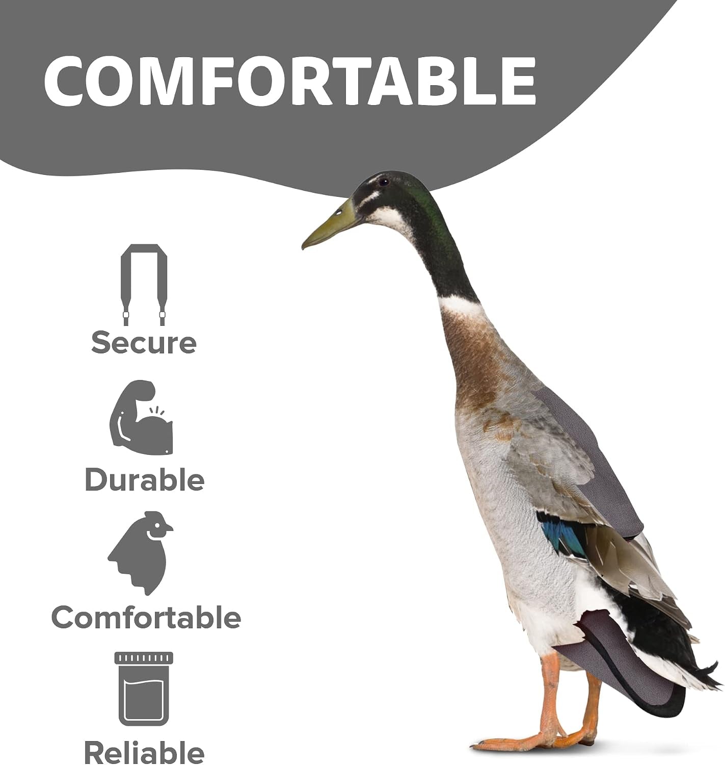 Starter Kit - Wrap-Around Runner Duck Diaper W/ Removable Liner & Fixed Tab - Durable, Secure Fit, Easy-To-Wear - Essential Duck Supplies for Real Ducks, Made in USA - Gray